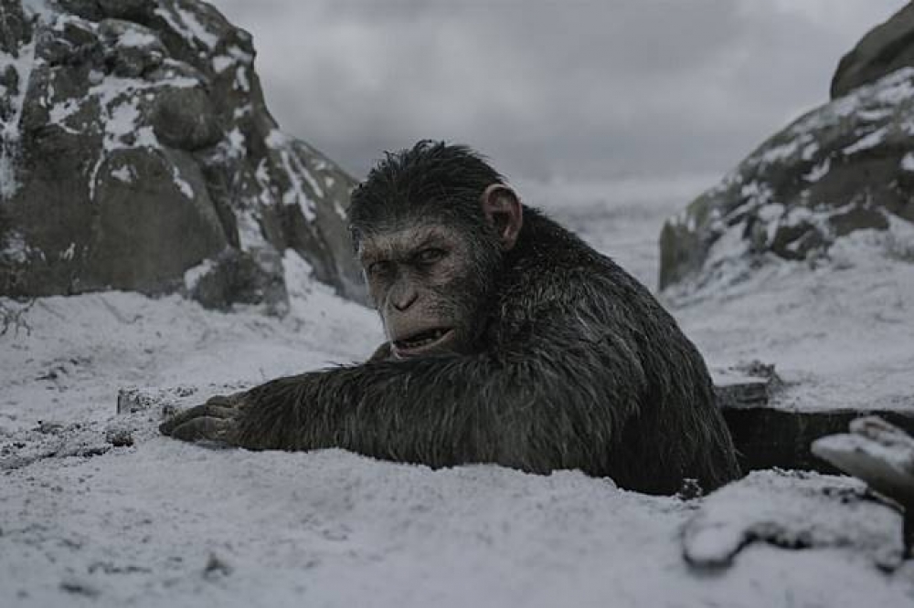 《猩球崛起：最終決戰》劇照（翻攝自IMDb）