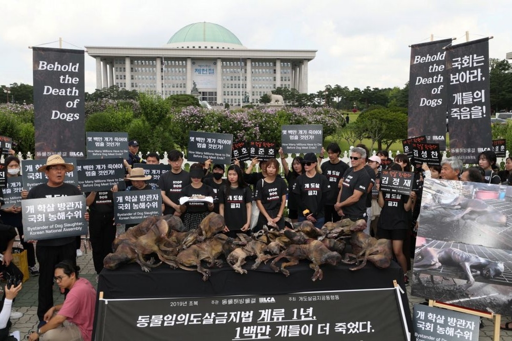南韓動保人士12日在南韓國會前聲援立法。（湯森路透）