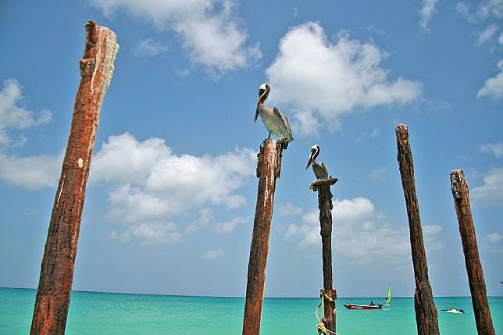 阿魯巴 Eagle Beach（Göran Ingman@CC,BY 2.0）