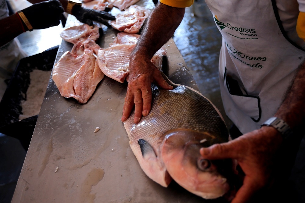 巴西的廚師準備料理海鮮。（湯森路透）