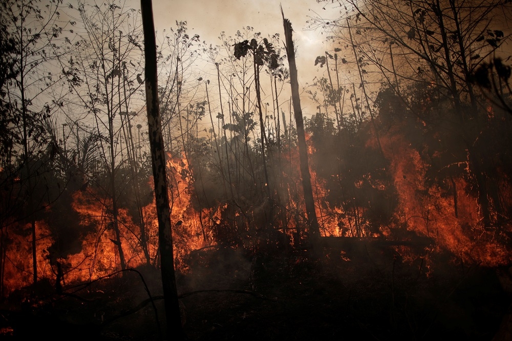 巴西農民和伐木工人正在焚燒亞馬遜一處的叢林。（湯森路透）