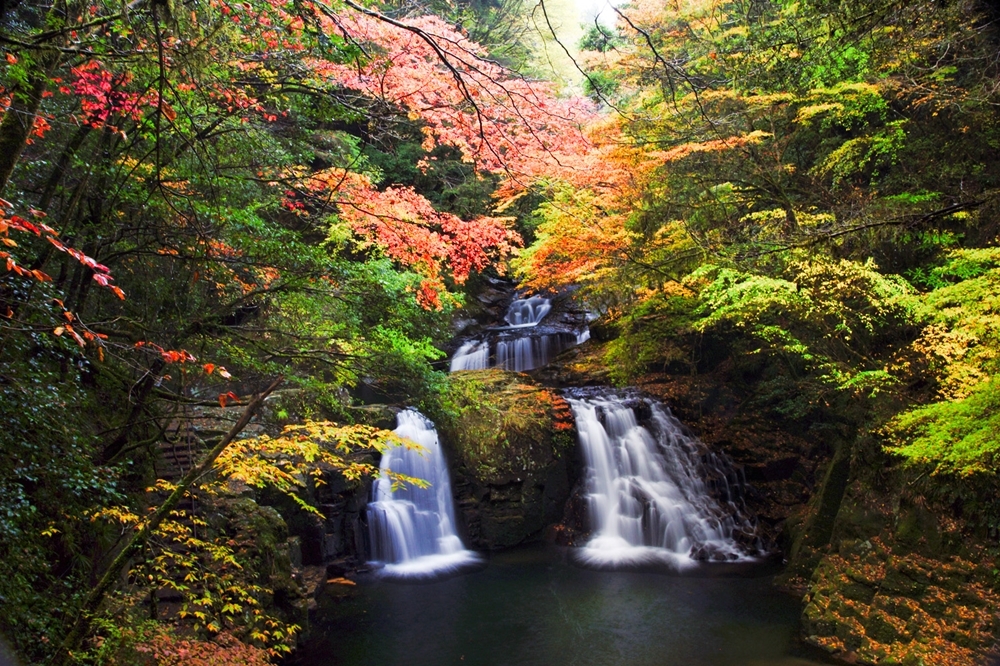 赤目四十八瀑布，伊賀忍者的起源之地，也曾被選入日本瀑布百選、森林浴百選之一。（三重縣提供）