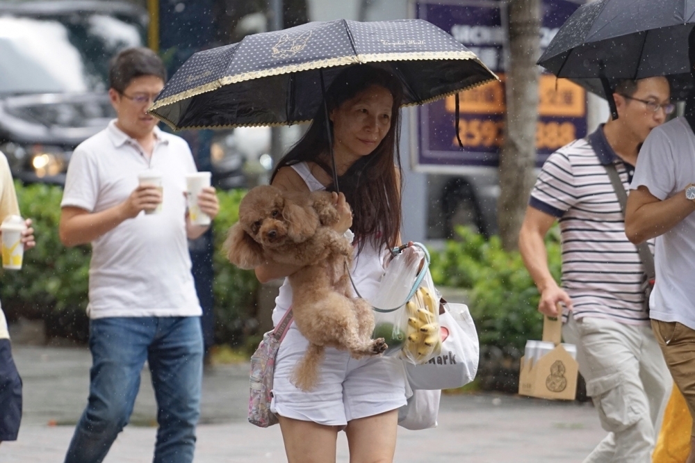 未來一周台灣東北風持續影響，各地早晚涼冷，西半部日夜溫差大；降雨狀況則要視水氣多寡而定。（資料照片／李景濤攝）