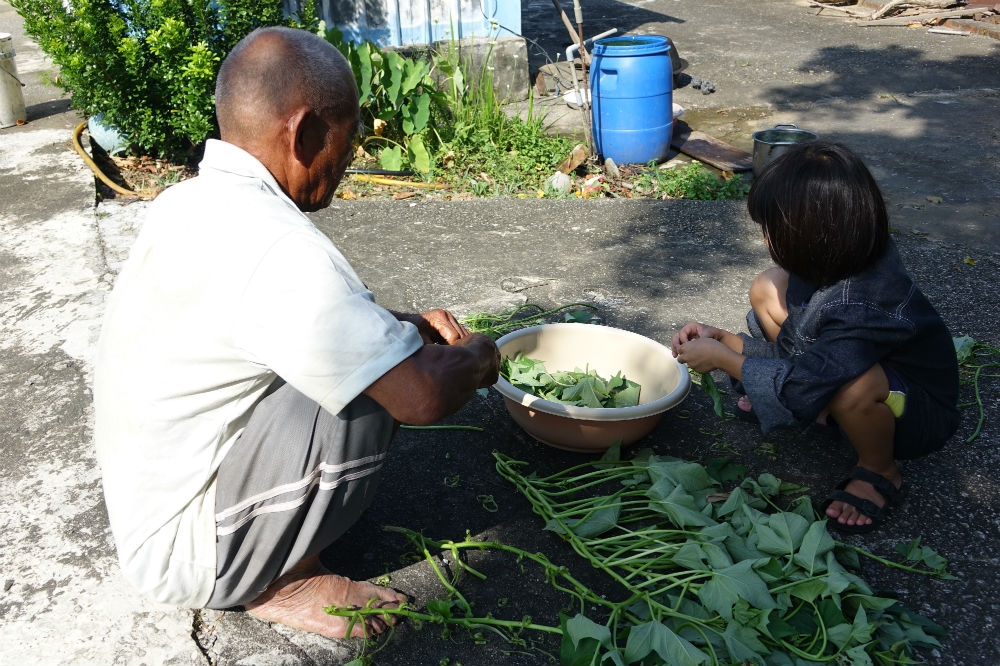 因為生活困苦，阿公和小姊妹經常以自種的地瓜葉當主食，有時候會連續吃好幾餐。（中國信託提供）