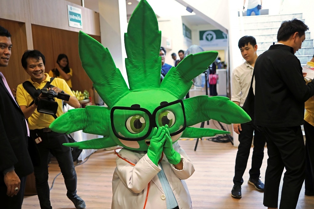 泰國醫用大麻吉祥物「麻醫生」吸引目光。（湯森路透）