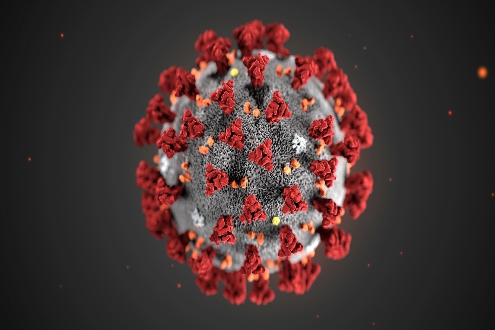 最新研究指出，新冠狀病毒已演化出L、S亞型。（湯森路透）