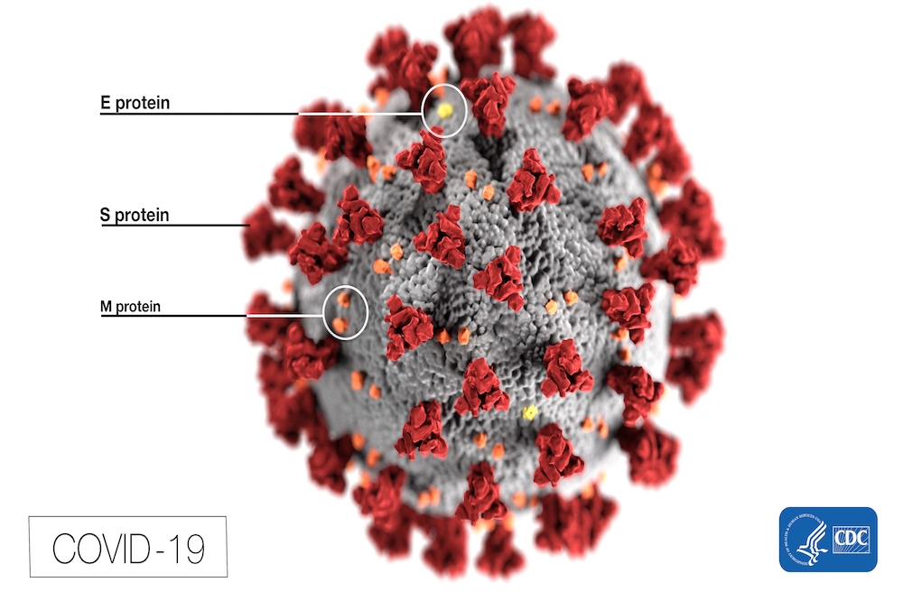 目前科學家已透過結構生物學，了解新冠病毒的棘突蛋白的外觀，是藥物疫苗研發一大突破。（湯森路透）