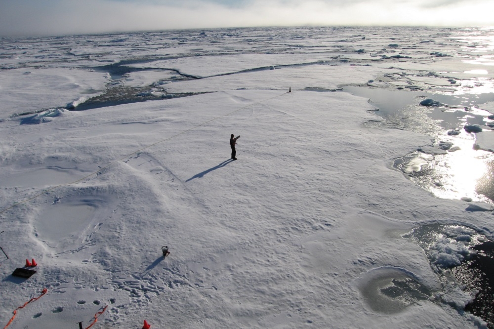 最新研究指出，2050年以前，北極部分地區的海冰可能會在夏季消失。（湯森路透）