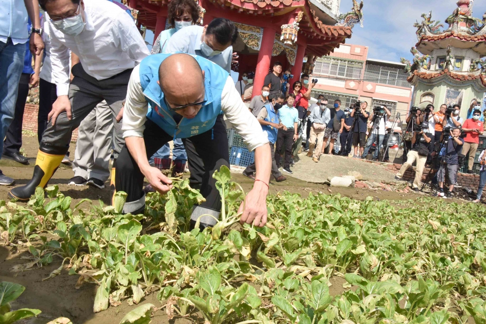 高雄市長韓國瑜30日上午到梓官勘查蔬菜災損。（高市府提供）