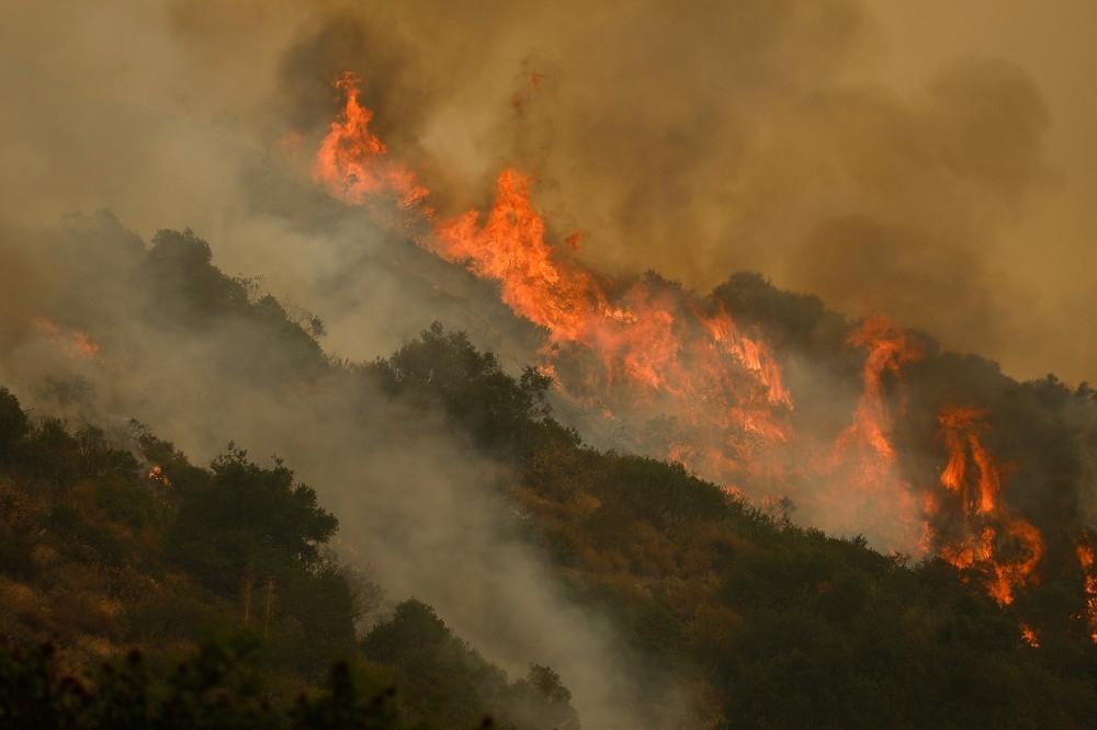 加州野火災情慘重。（湯森路透）