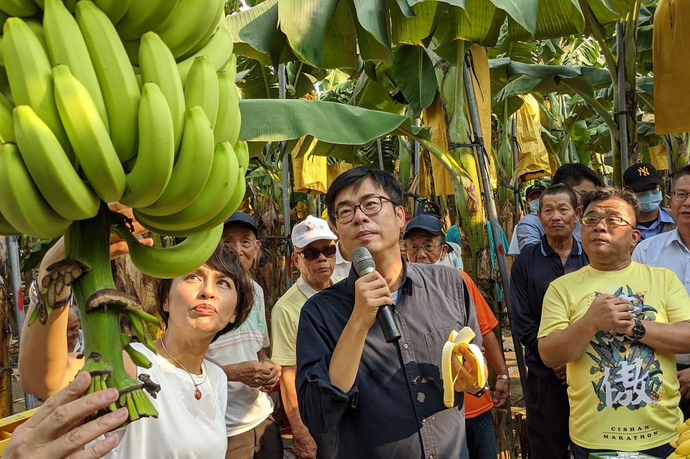 為協助蕉農產銷並穩定香蕉價格，高雄市長陳其邁日前赴旗山關心蕉農與香蕉產業。（農業局提供）