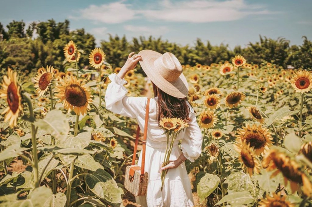 向日葵花海景點推薦-向陽農場。（圖／duffy_lifediary, Instagram）