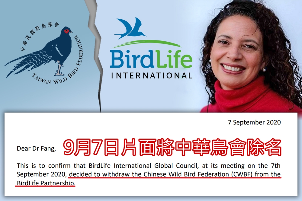 中華鳥會英文名稱捲入統獨風波，大會決定改為「Taiwan Wild Bird Federation」，並公布近10個月來跟國際鳥盟的信函，以正視聽。（合成畫面／取自網路）