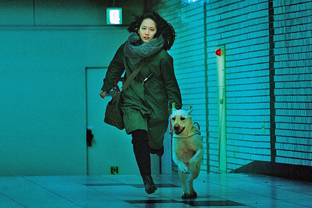 吉岡里帆扮演目擊凶殺案的盲女，與導盲犬合作無間，深入險境企圖抓到兇手。（華映娛樂提供）