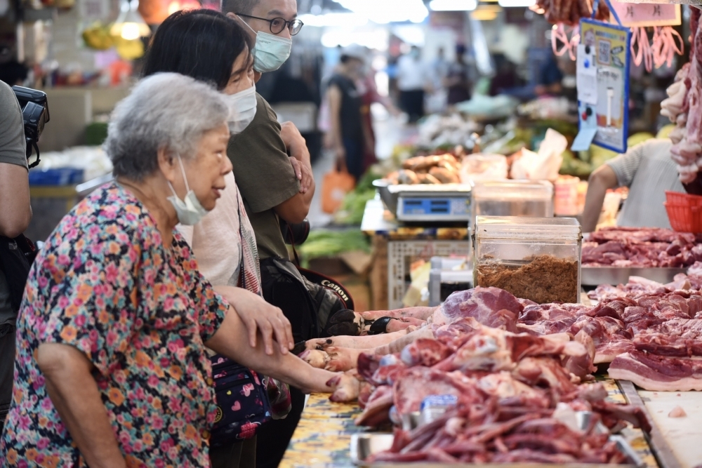 開放瘦肉精美豬進口爭議持續延燒。（資料照片／張哲偉攝）