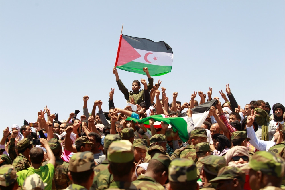 波利薩里奧陣線官兵揮舞著撒拉威共和國旗幟。（湯森路透）