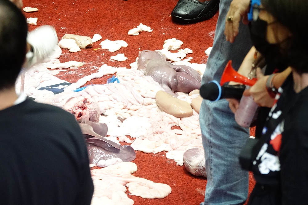 行政院長蘇貞昌正式上台報告後，國民黨立委往發言台、場內潑灑豬內臟，讓議場地上滿布了豬臟器。（王侑聖攝）
