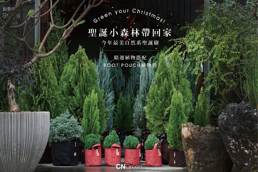 CNFlower西恩今年聖誕節推出「Green your Christmas 聖誕小森林帶回家」，融入花草自然純粹的溫度與活力，感受最美的聖誕魔幻。（CNFlower提供）
