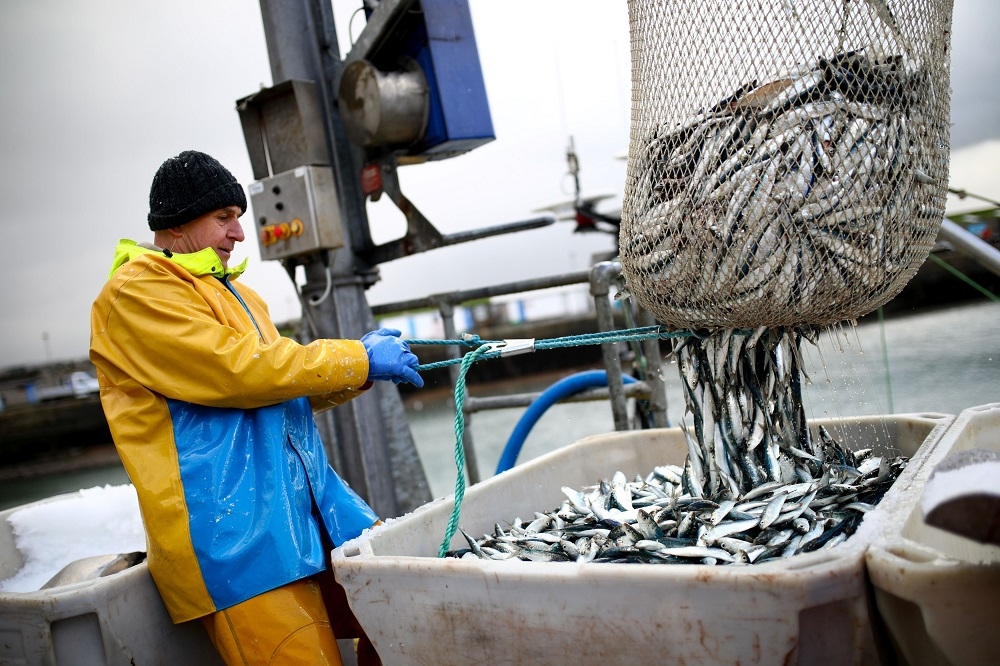 英國漁業受到英歐貿易協議進出口限制嚴重打擊。（湯森路透）