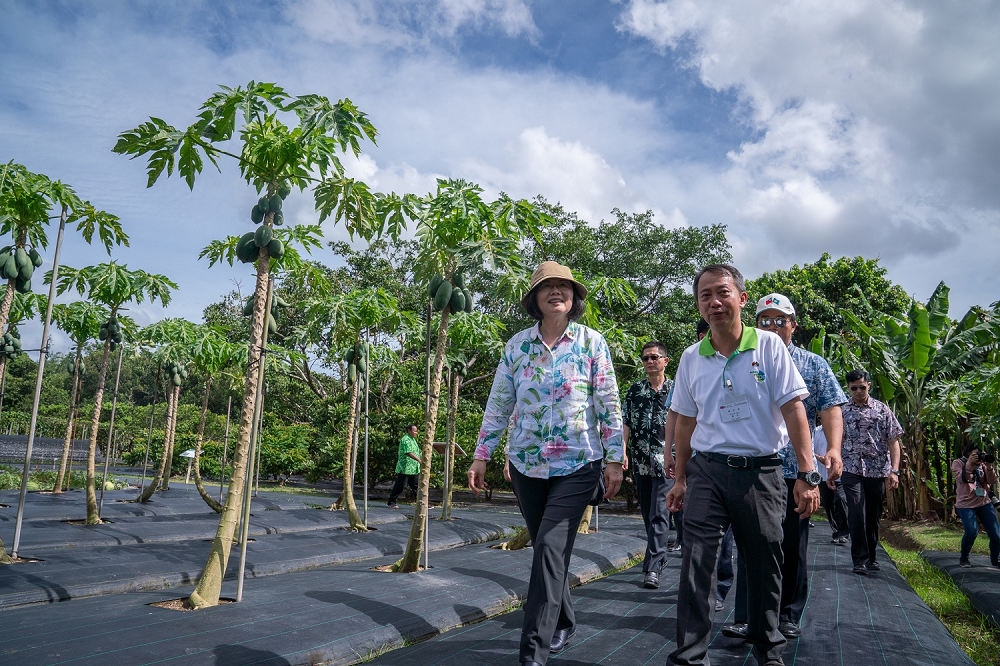 莊人祥在12日中央疫情指揮中心上表示，對於帛琉旅游泡泡4月首發團，目前尚無定案。圖為2019年蔡英文總統視察駐帛琉技術團。（取自總統府網站）