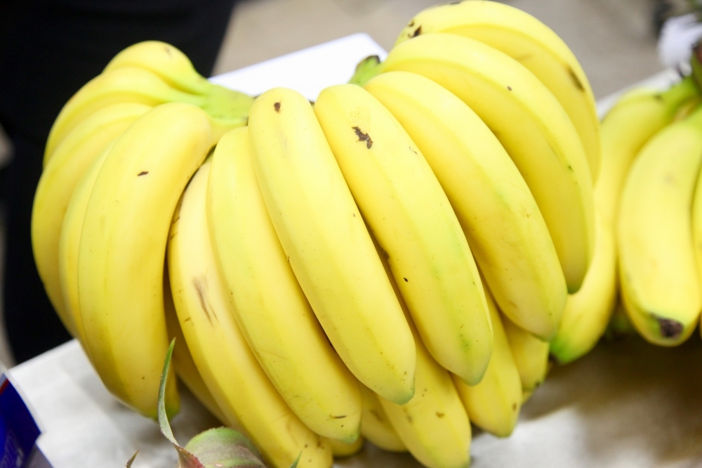 台灣香蕉被日本廠商驗出農藥超標遭回收。（資料照片／張哲偉攝）