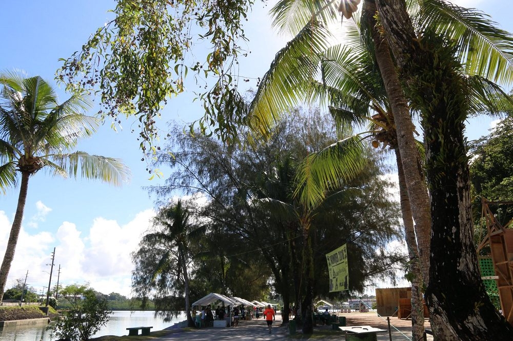 指揮中心發言人莊人祥16日在記者會表示，台帛旅遊泡泡相關細節預計17日宣布。（取自Palau Visitors Authority臉書）