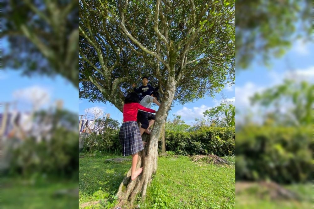 知名主持人吳淡如日前在臉書分享孩子爬樹的照片，卻被網友用不堪字眼辱罵，對此吳淡如喊提告，請網友「一定要等著」。（取自吳淡如臉書）