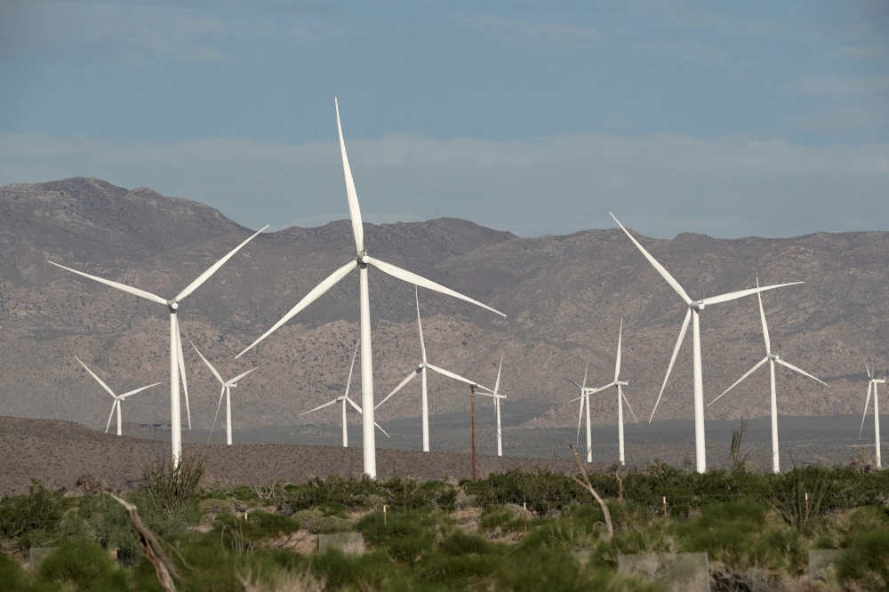 美國加州的風力發電站。（湯森路透）