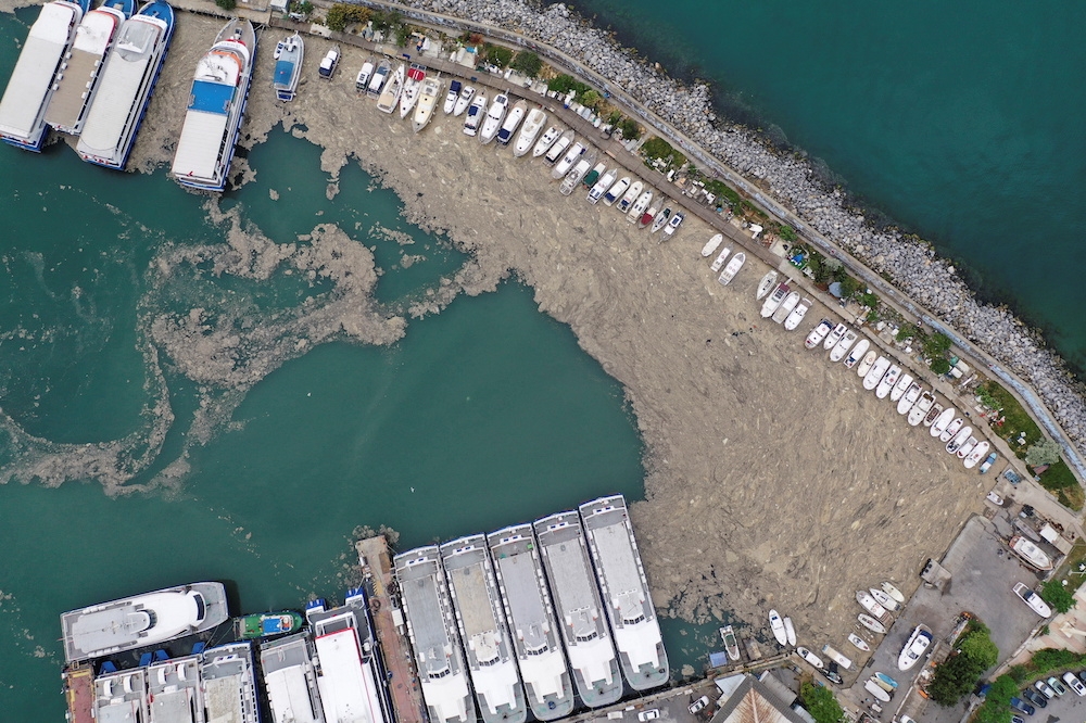 伊斯坦堡博斯坦哲（Bostanci）港口船隻被棕色濃厚的「海鼻涕」包圍。（湯森路透）