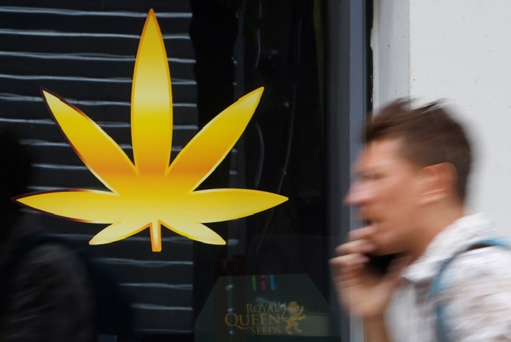 德國9月議會選舉焦點話題圍繞「大麻合法化」，議會的6個黨中有4個黨表明支持合法化。（湯森路透）