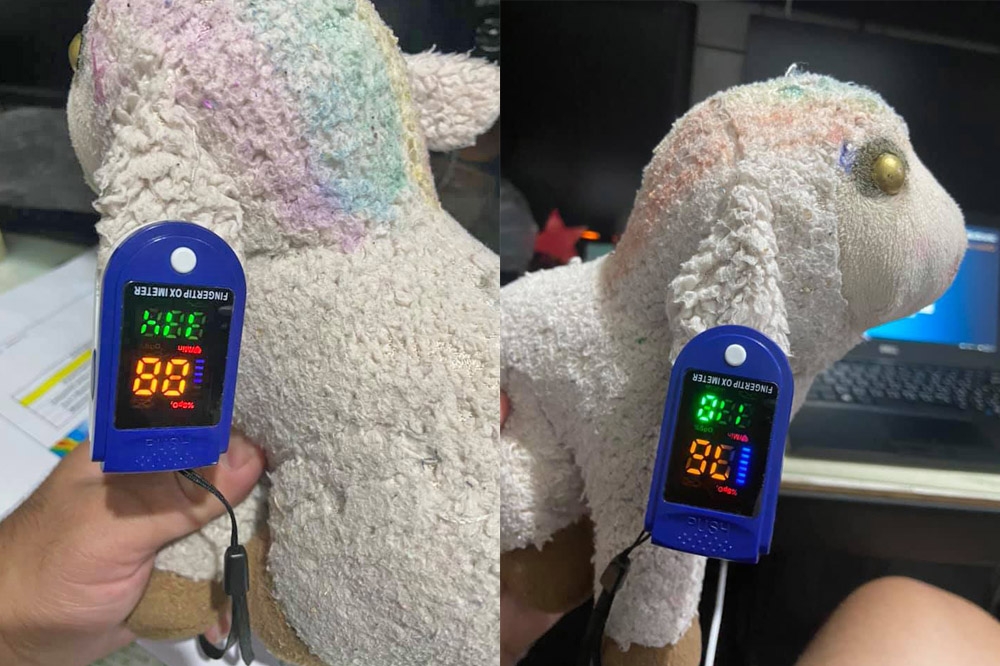 民眾網購血氧機夾布偶竟測出血氧及心跳，ICU醫師陳志金透過臉書教大家3種辨別真偽血氧機的方式。（取自臉書）