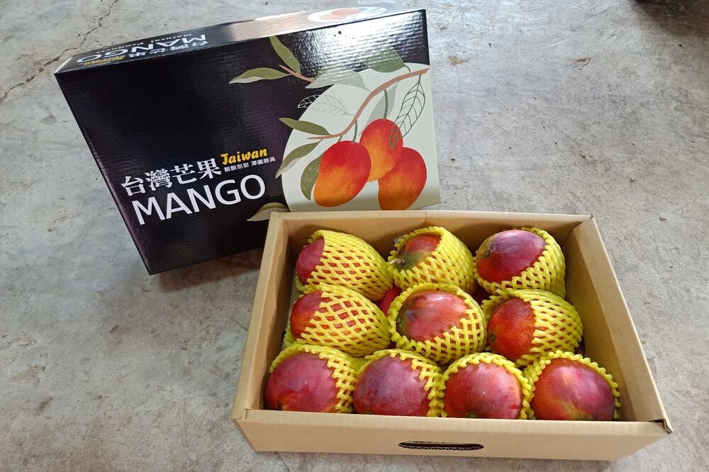 公股行庫也加入認購台灣芒果的行列，以行動支持台灣農業；圖為示意圖。（取自愛在芒果時）
