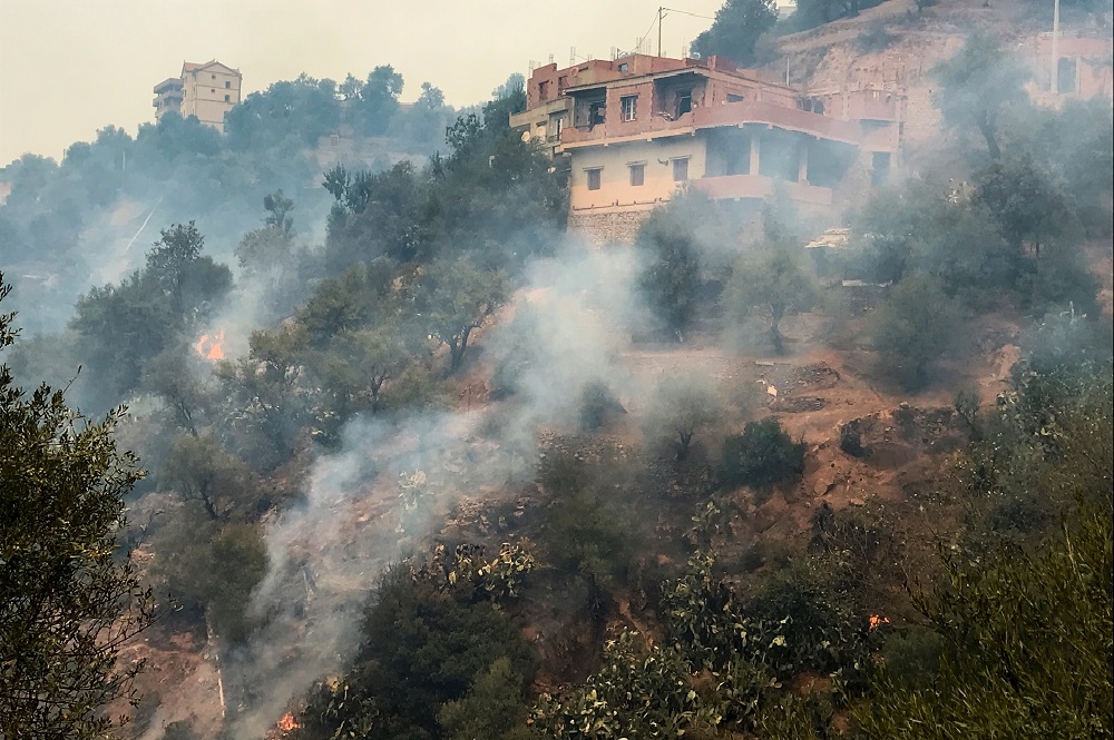阿爾及利亞連日乾燥高溫引起百處野火，造成至少42人死亡。（湯森路透）