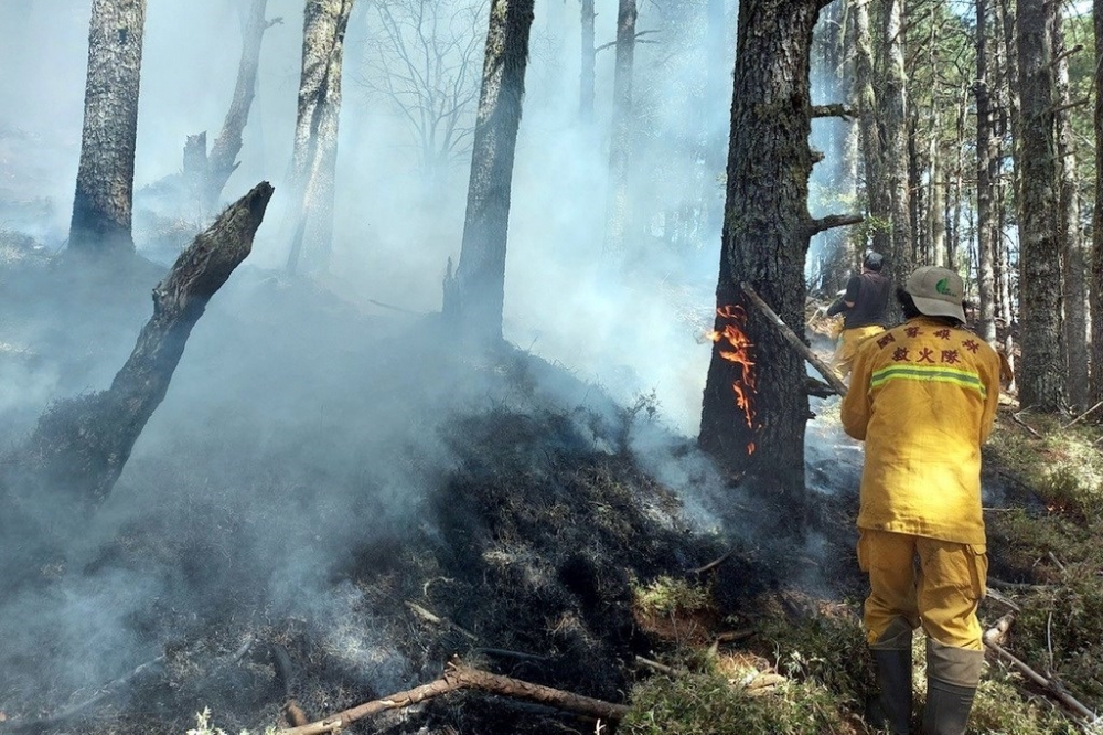 NCC前專委喬建中5月和友人到玉山登山，不慎造成森林大火，檢方依違反《森林法》起訴喬建中。（嘉義林管處提供）