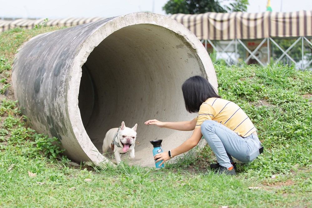 屏東縣長潘孟安4日在臉書發文宣布寵物公園完工，還附上可愛狗狗照，卻遭網友大酸狗比人重要。（取自潘孟安臉書）