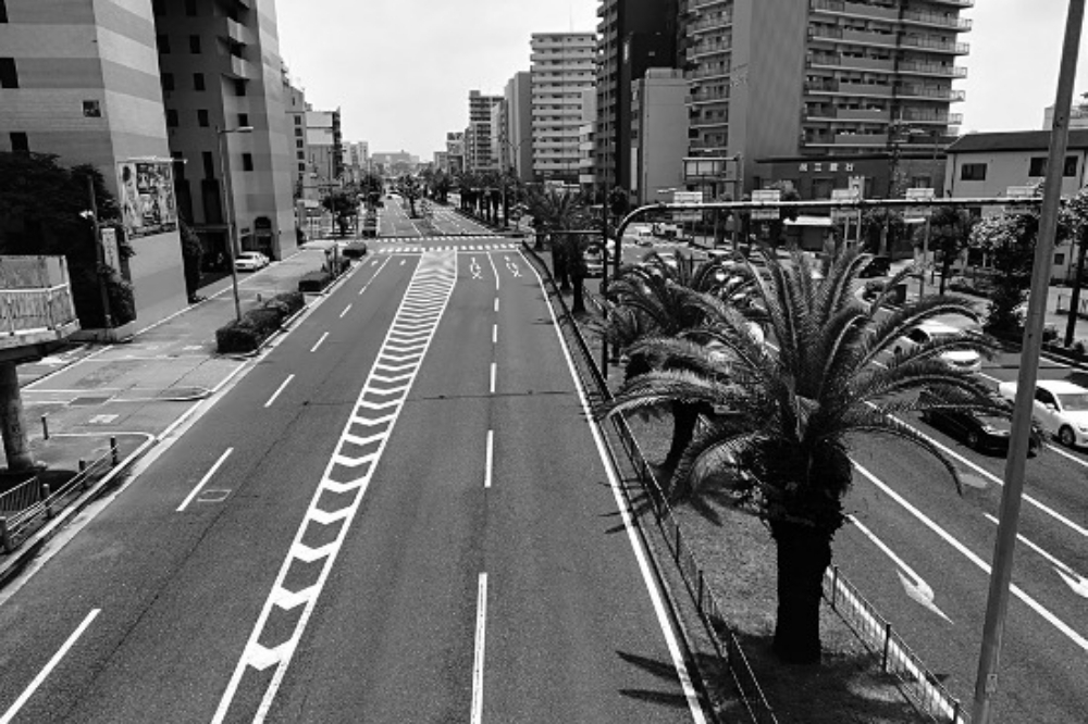 通过大坂堺市市中心的宿院通，取名为「不死鸟路」。（行人文化实验室提供）(photo:UpMedia)