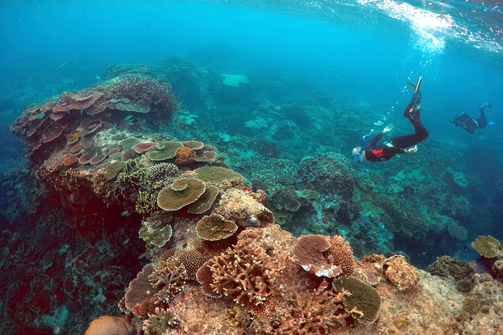 擁有美麗海底珊瑚礁景觀的馬紹爾群島。（湯森路透）