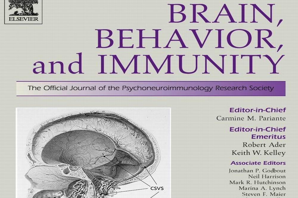 中醫大研究刊登於國際權威學術期刊「大腦、行為與免疫」。 （中醫大提供）
