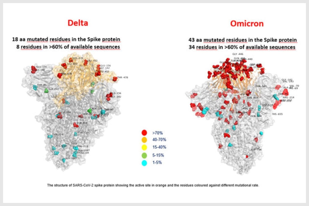 義大利發布Omicron（右）變異株圖片並與Delta變異株比較，Omicron擁有更多的棘蛋白突變。（擷自義大利羅馬兒童醫院）