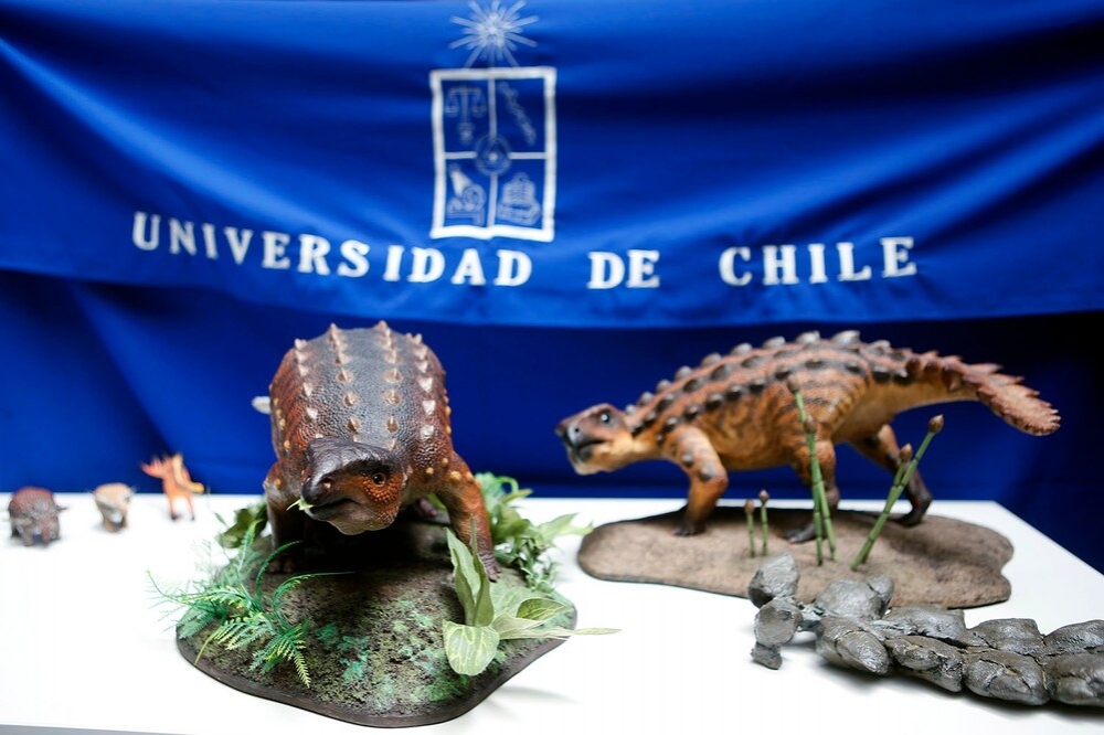 新品种甲龙示意模型，可清楚看到牠的强壮尾巴。（图片取自智利大学粉专）(photo:UpMedia)