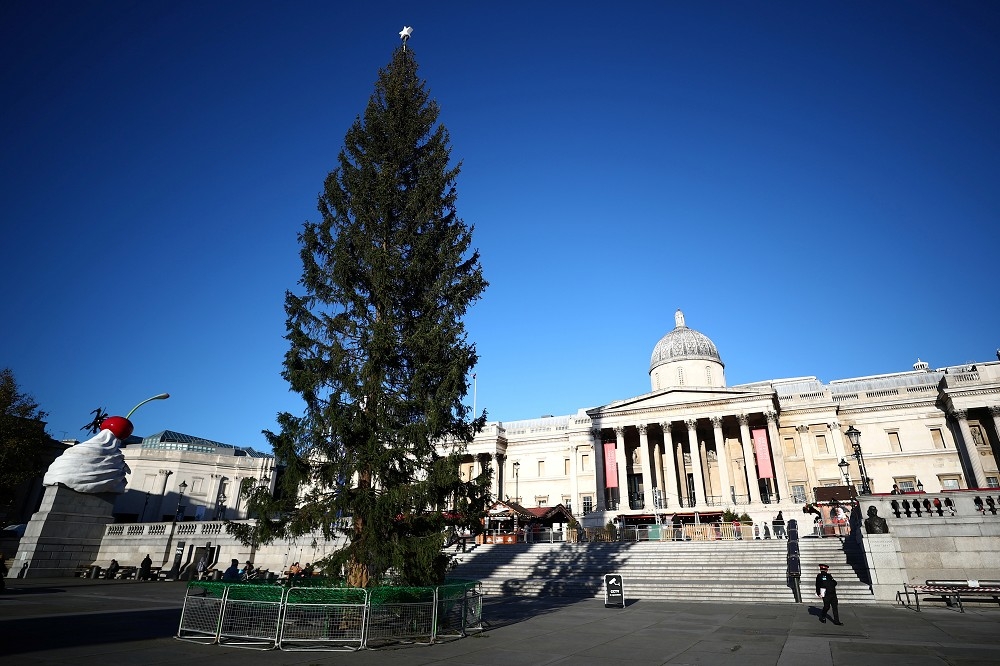 特拉法加广场的圣诞树引发英国网友热议。（汤森路透）(photo:UpMedia)