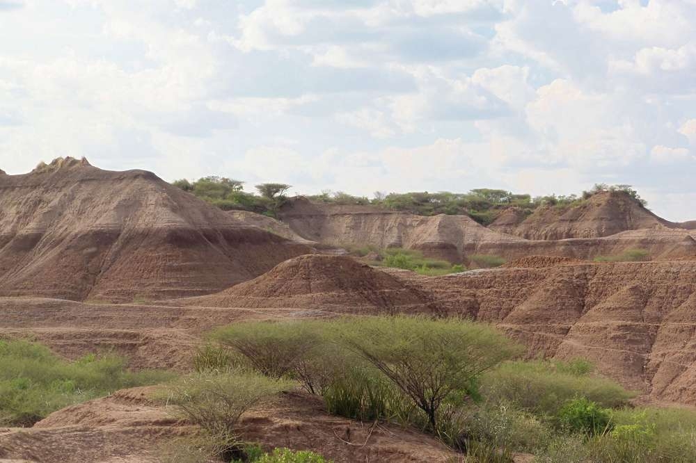 衣索比亞的智人化石遺跡發現處。（湯森路透）