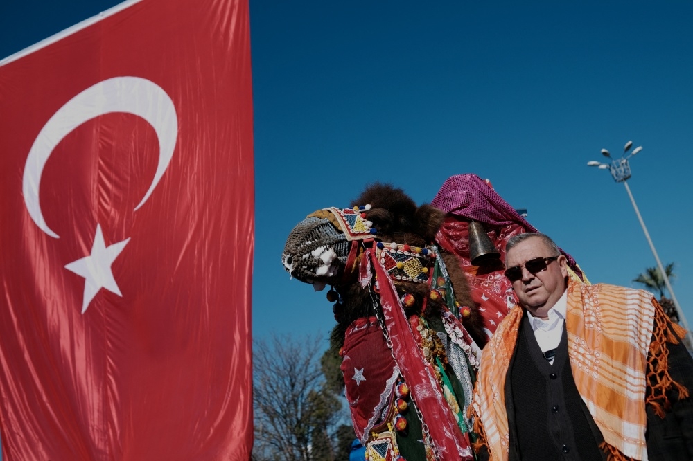 一名土耳其男子帶著盛裝的駱駝參加1月傳統的駱駝鬥獸節。（湯森路透）