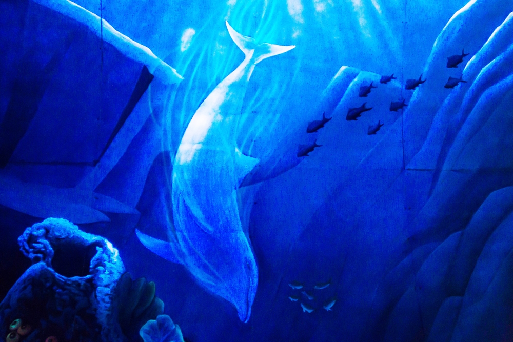 蘇東隧道內的3D海洋彩繪牆，每天上午9點到晚上9點會有定時燈光投射。（王侑聖攝）