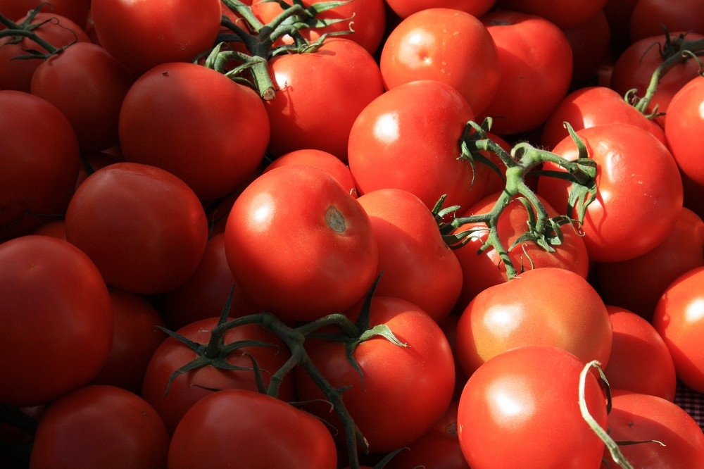番茄（2010 © csouza_79 , tomatoes @ Flickr, CC BY-SA 2.0.）