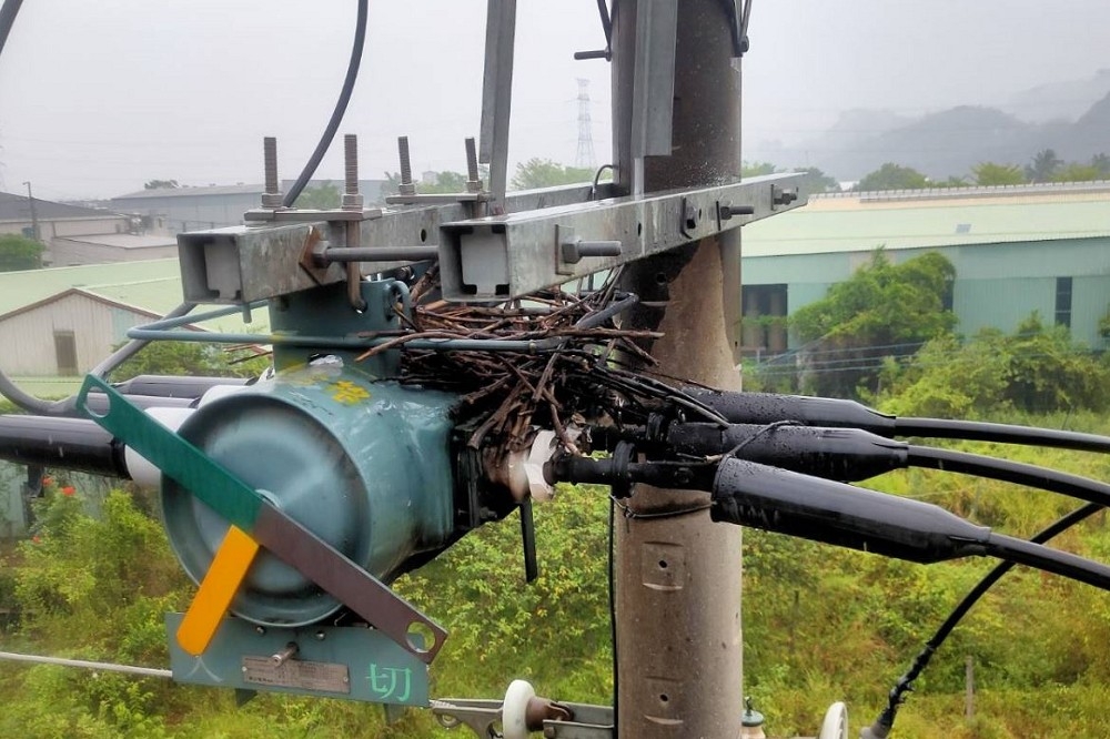 高雄市大社區21日因鳥巢碰觸高壓線路開關，造成停電。（台電提供）