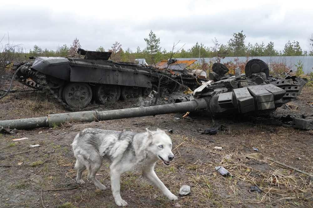 基辅周边的德米特里夫卡村满目疮痍，图为被炸毁的俄军坦克。（美联社）(photo:UpMedia)