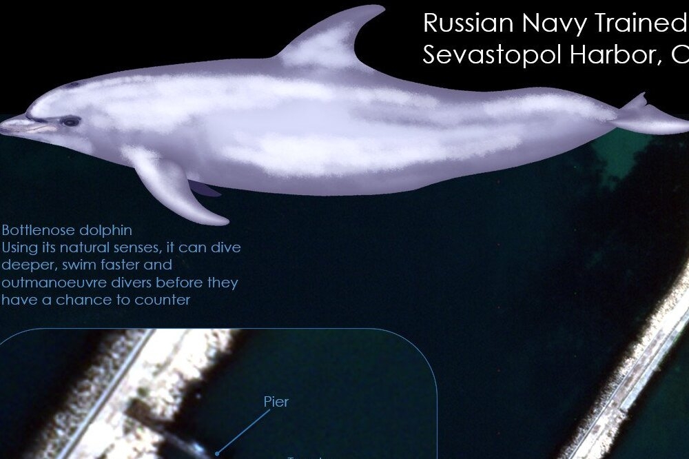 美国海军研究所据卫星图像指俄军在黑海基地部署受训过的海豚。（取自USNI）(photo:UpMedia)