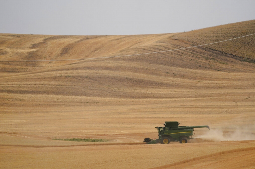 烏克蘭28日指控俄羅斯在佔領地區竊取穀物，也指出戰爭若持續恐衝擊全球糧食安全。（美聯社）