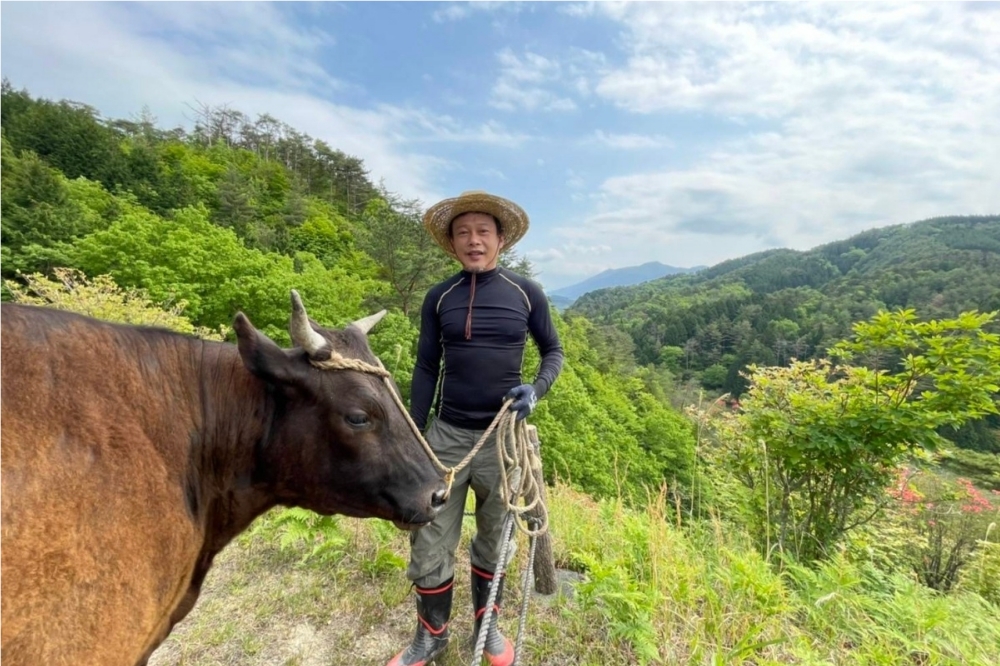 李康生（右）在日本拍攝跨國電影《黑之牛》，每天與他的女主角一頭日本和牛培養感情。（木林電影提供）